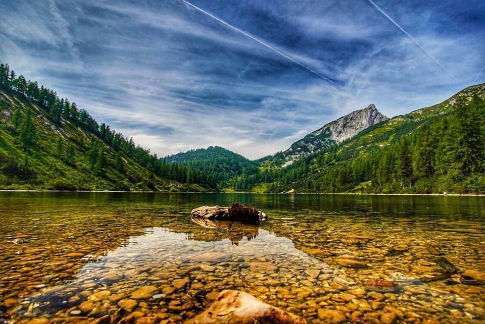 Appartamento Popp'N Angerl Tauplitz Esterno foto
